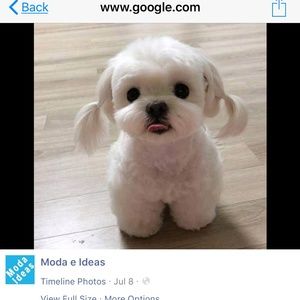 Meet your Posher, Rubi